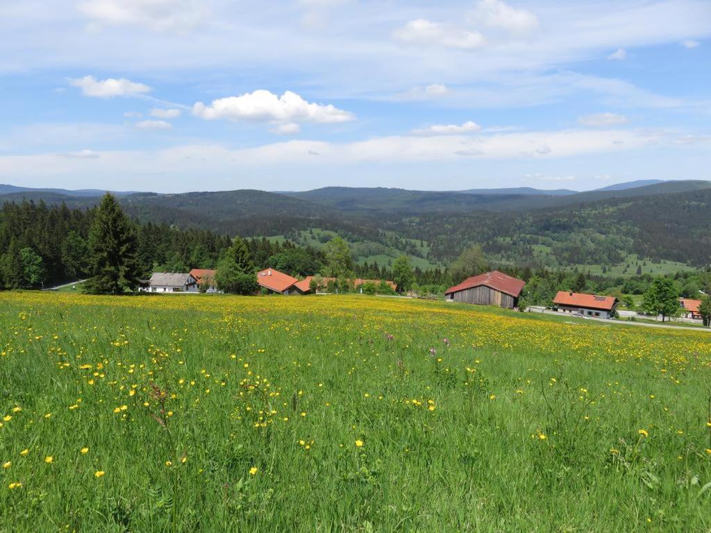 2 Zimmer Mitterdorf Philippsreut Luaran gambar